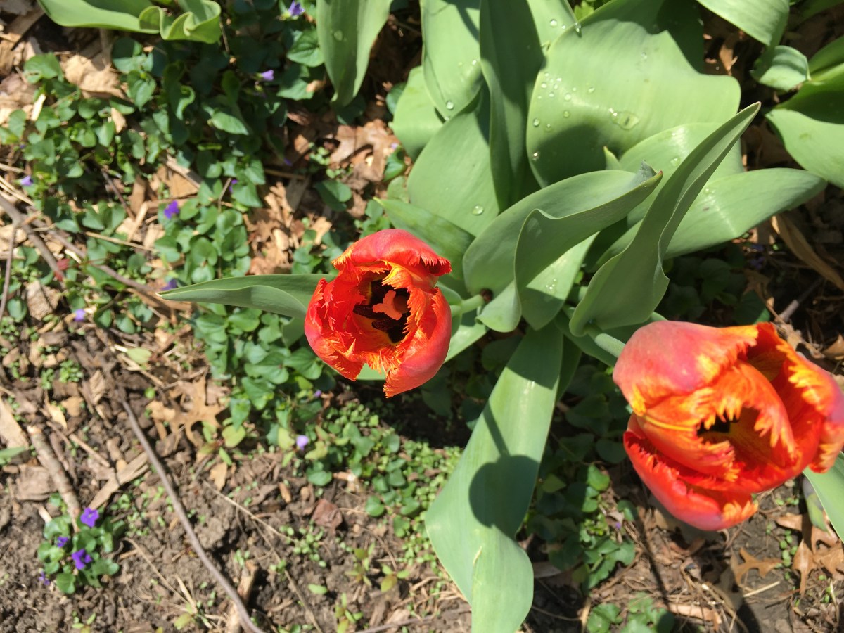 Sharing makes your heart&nbsp;strong